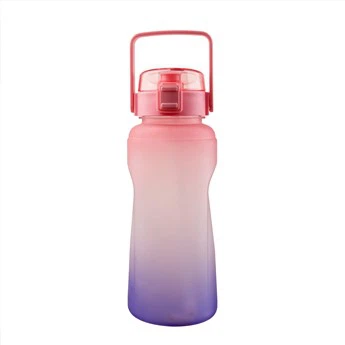 550ml alta qualidade Bpa livre dupla parede Sport plástico garrafa com silício aleta tampa palha